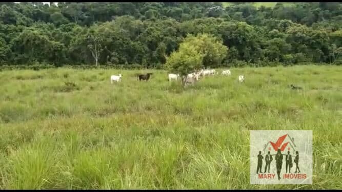 Fazenda/Sítios/Chácaras em Campos dos Goytacazes - Centro