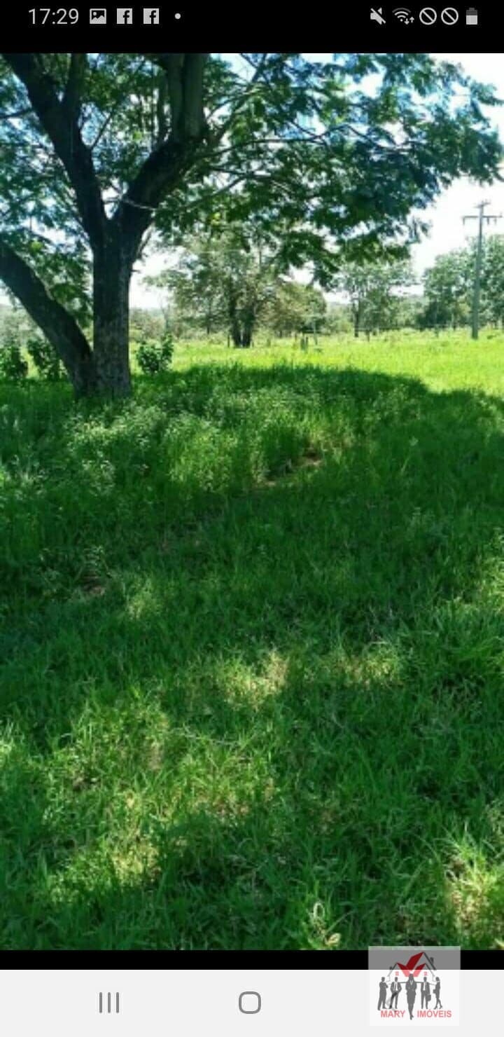 Fazenda/Sítios/Chácaras em Curvelo - Centro