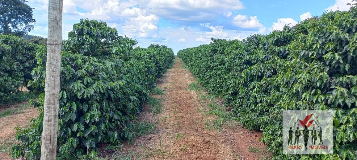 Fazenda/Sítios/Chácaras em Botelhos - Centro
