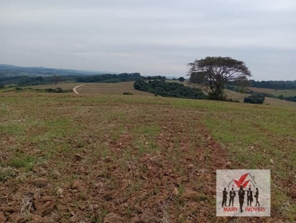 Fazenda/Sítios/Chácaras em São Pedro da União - Centro