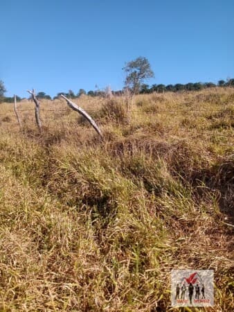 Fazenda/Sítios/Chácaras em Poços de Caldas - Zona Rural