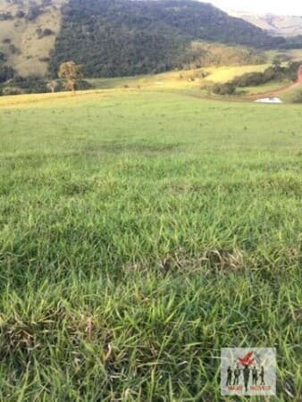 Fazenda/Sítios/Chácaras em Pouso Alegre - Vila Ramos