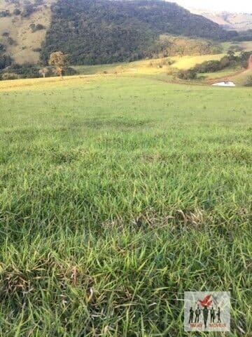 Fazenda/Sítios/Chácaras em Pouso Alegre - Vila Ramos