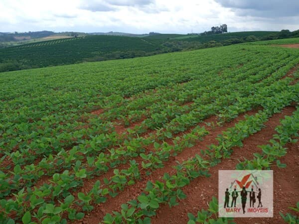 Fazenda/Sítios/Chácaras em Cruzília - Centro