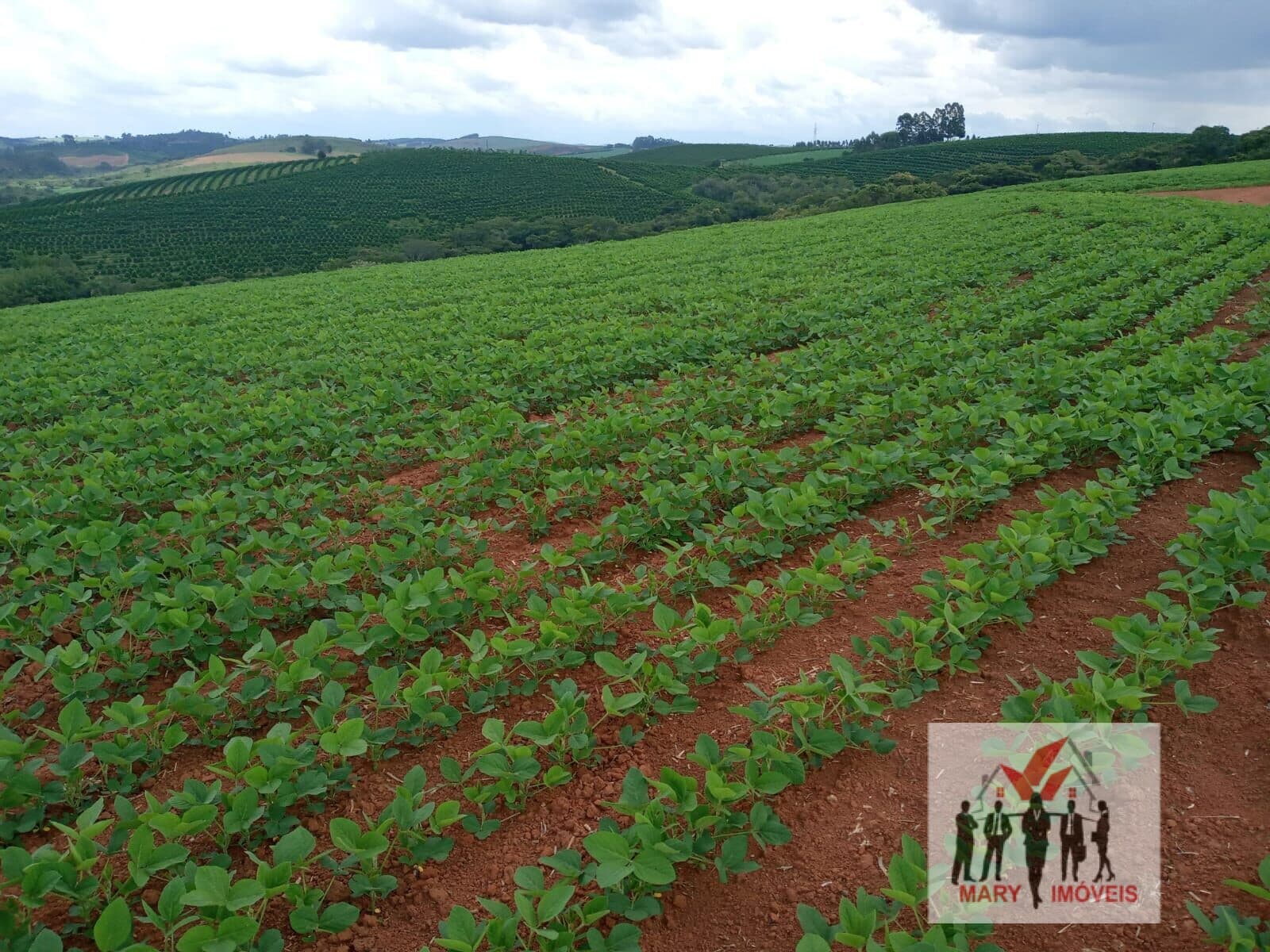 Fazenda/Sítios/Chácaras em Cruzília - Centro