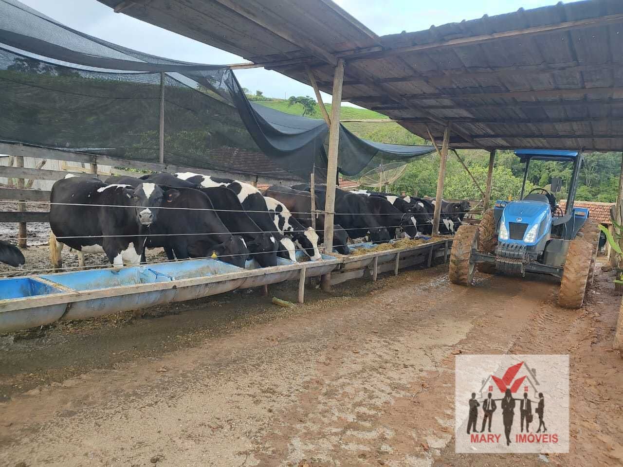 Fazenda/Sítios/Chácaras em Poços de Caldas - Centro