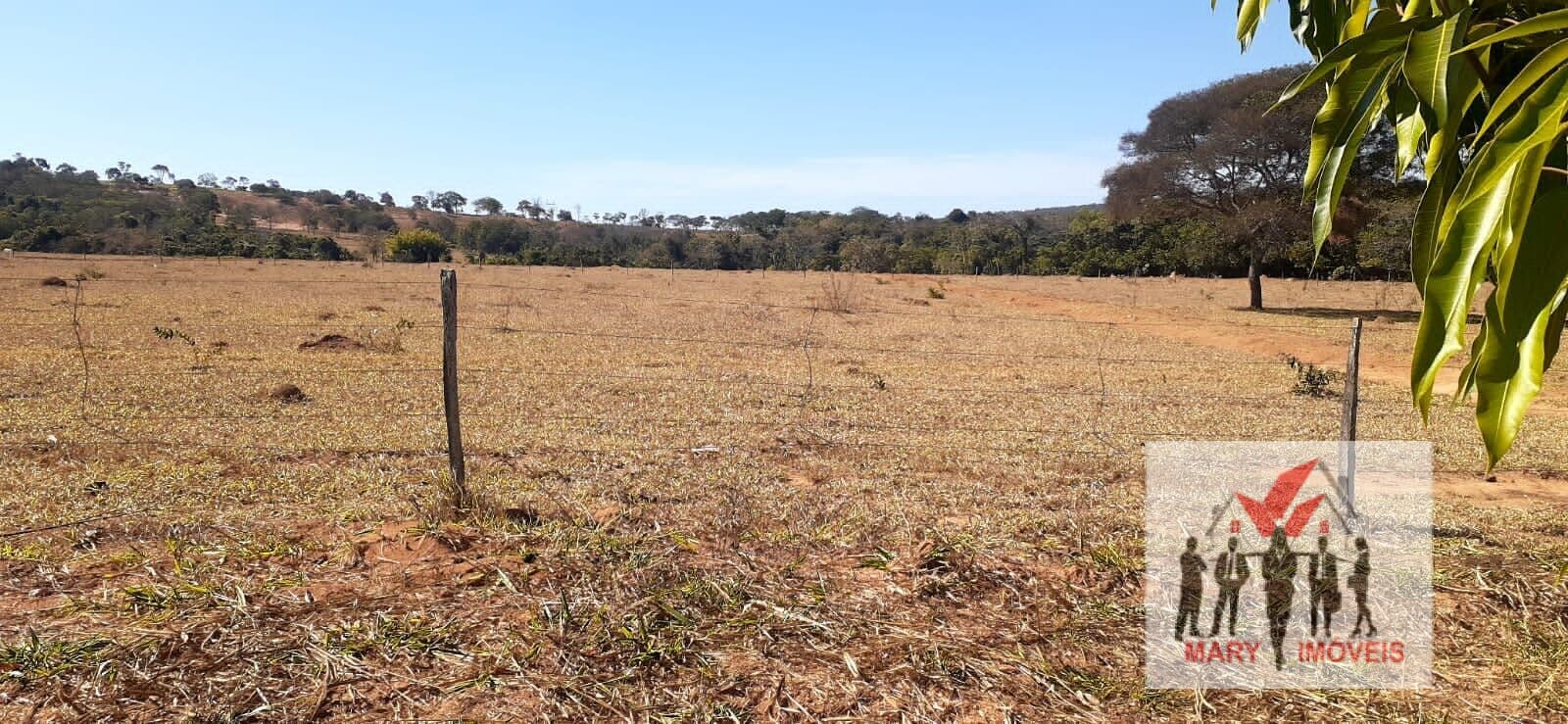 Fazenda/Sítios/Chácaras em Felixlândia - Centro