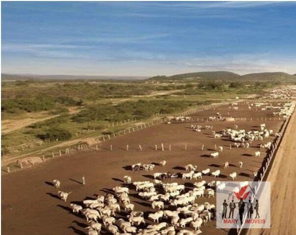 Fazenda/Sítios/Chácaras em Salvador - Fazenda Grande I