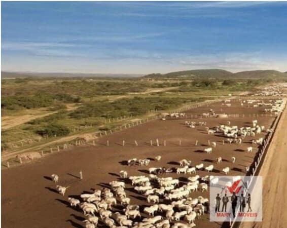 Fazenda/Sítios/Chácaras em Salvador - Fazenda Grande I