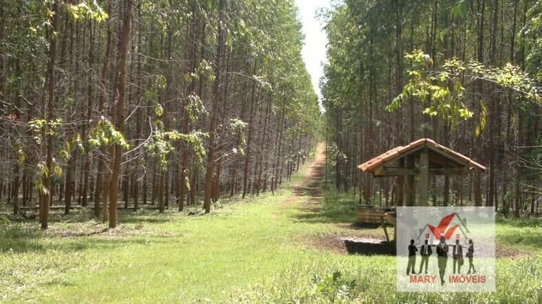 Fazenda/Sítios/Chácaras em Unaí - Área Rural de Unaí