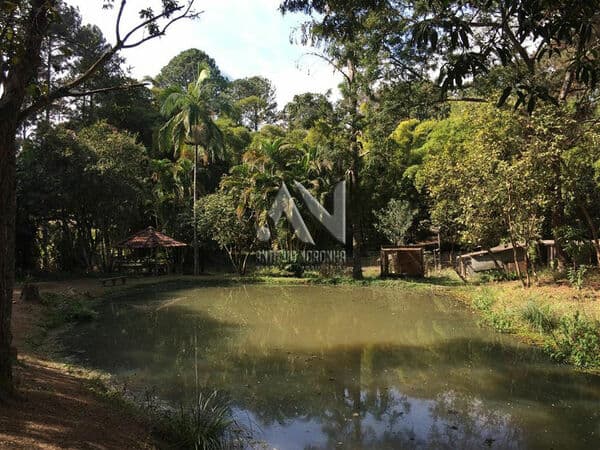 INACREDITÁVEL!! - ÁREA ESPETACULAR - 17.325 m² - no CENTRO da CIDADE cidade de Conselheiro Lafaiete
