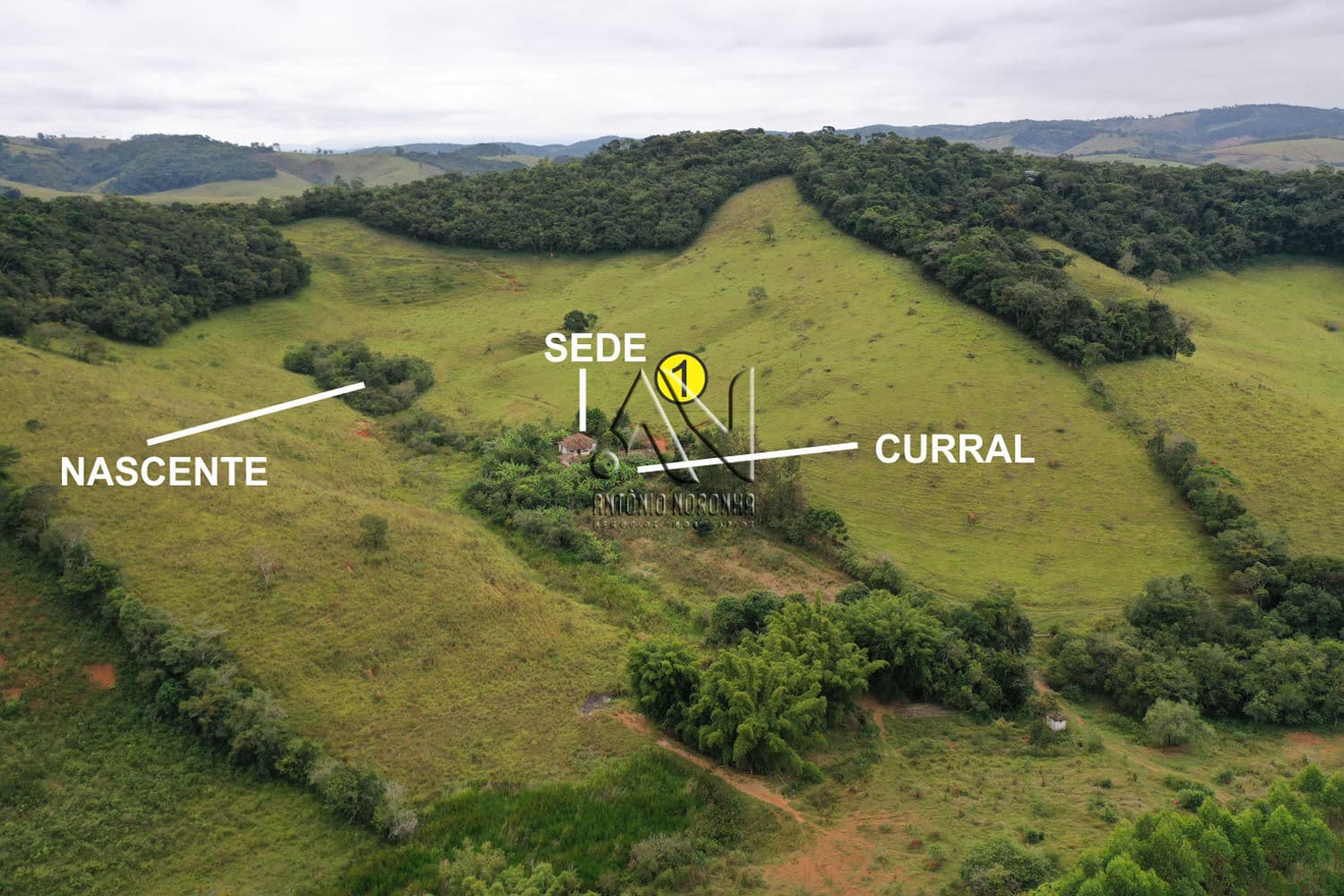 VENDO FAZENDA – 61 há - a apenas 4 km de QUELUZITO/MG