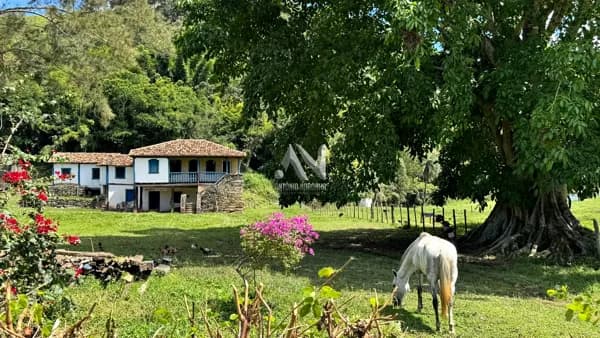Fazenda - Santana dos Montes