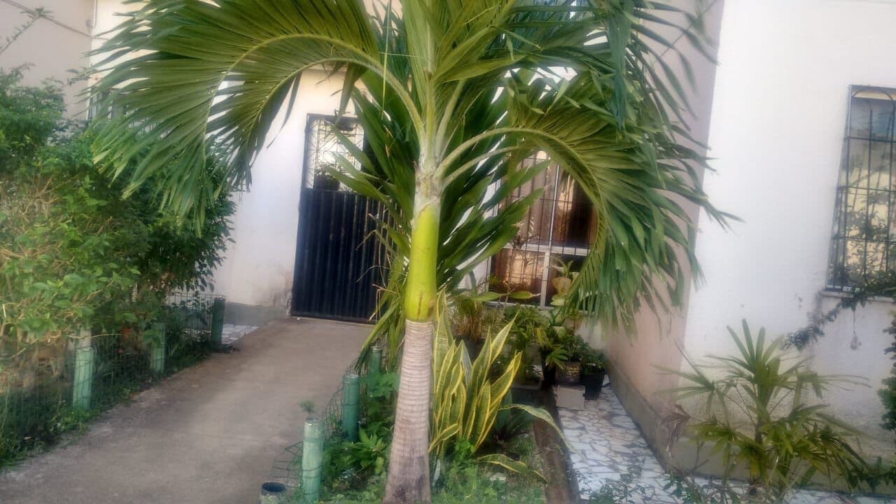 Apartamento em Salvador - Boca da Mata