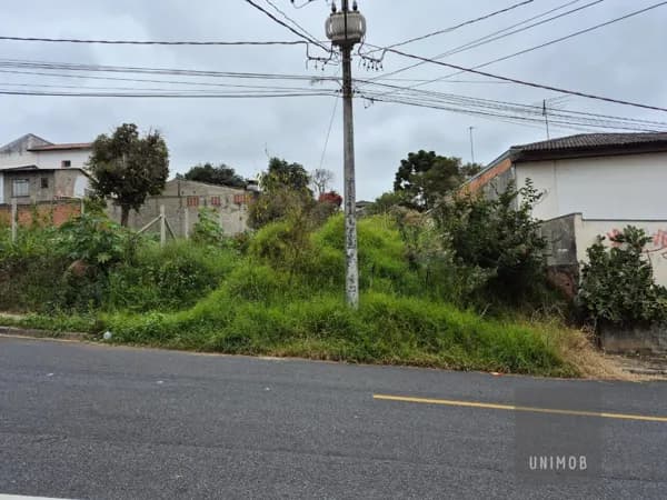 Excelente Terreno no Tingui