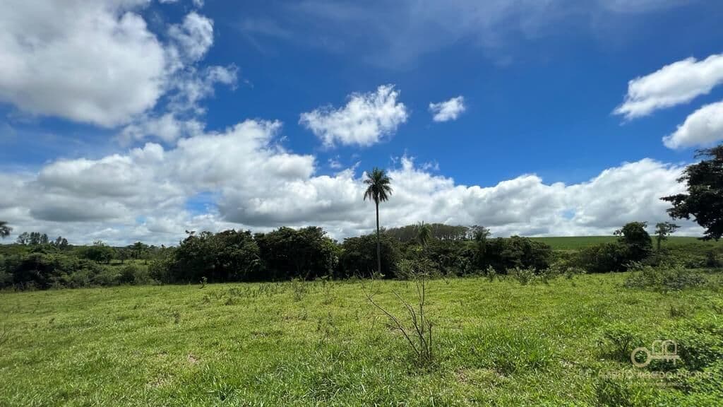 Chácara com 2 alqueires à venda em Brotas/SP