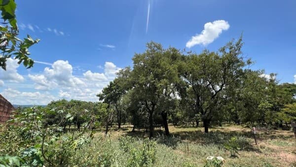 Chácara com 10000m² à venda no Chapada dos Guimarães em Brotas/SP