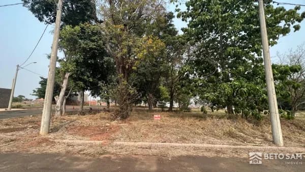 Ótimo terreno comercial no Santa Cecília IV em Brotas/SP