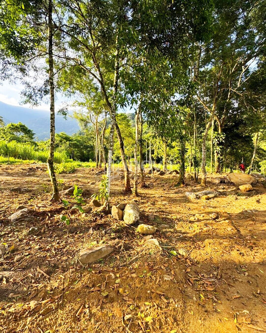 Terreno no Zungu em Angra dos Reis–RJ