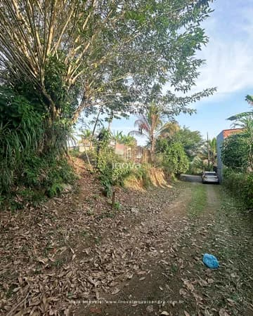 Terreno à venda na Ponta dos Ubás na Gamboa do Belém, Angra dos Reis - RJ