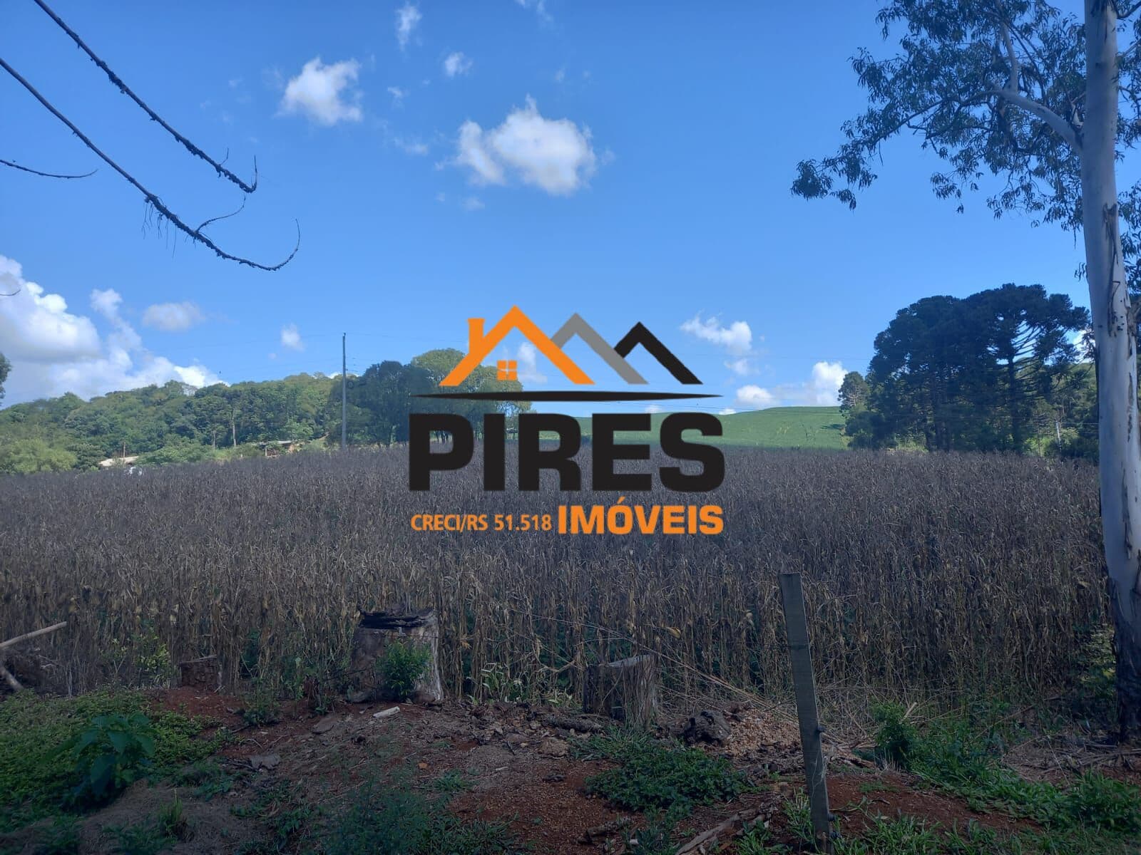 Fazenda/Sítios/Chácaras em Sananduva - Zona rural