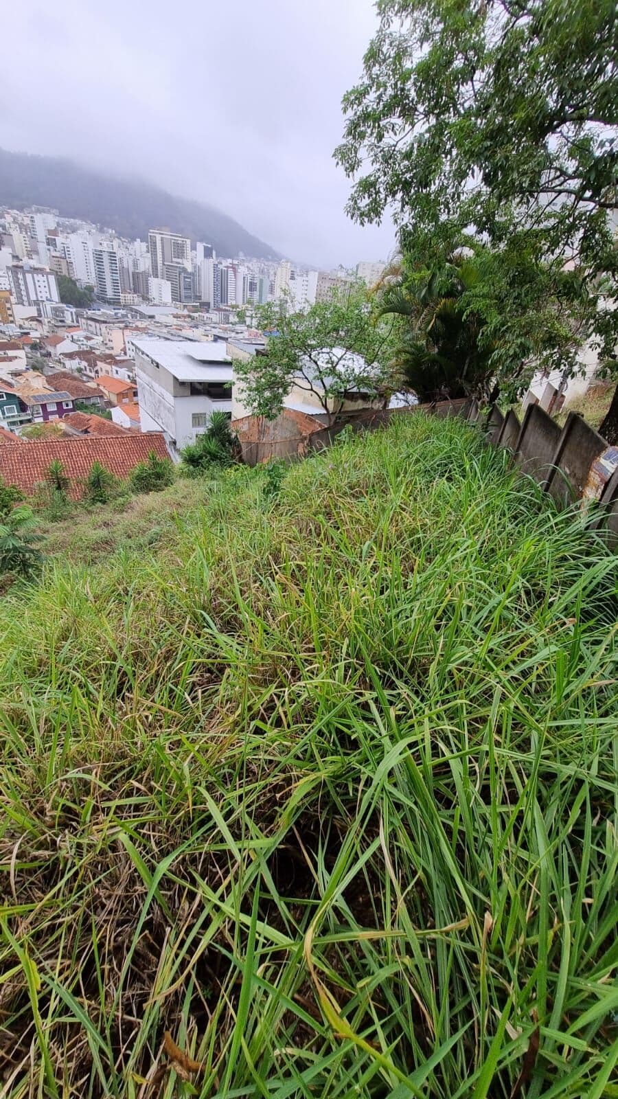 TERRENO GRANBERY