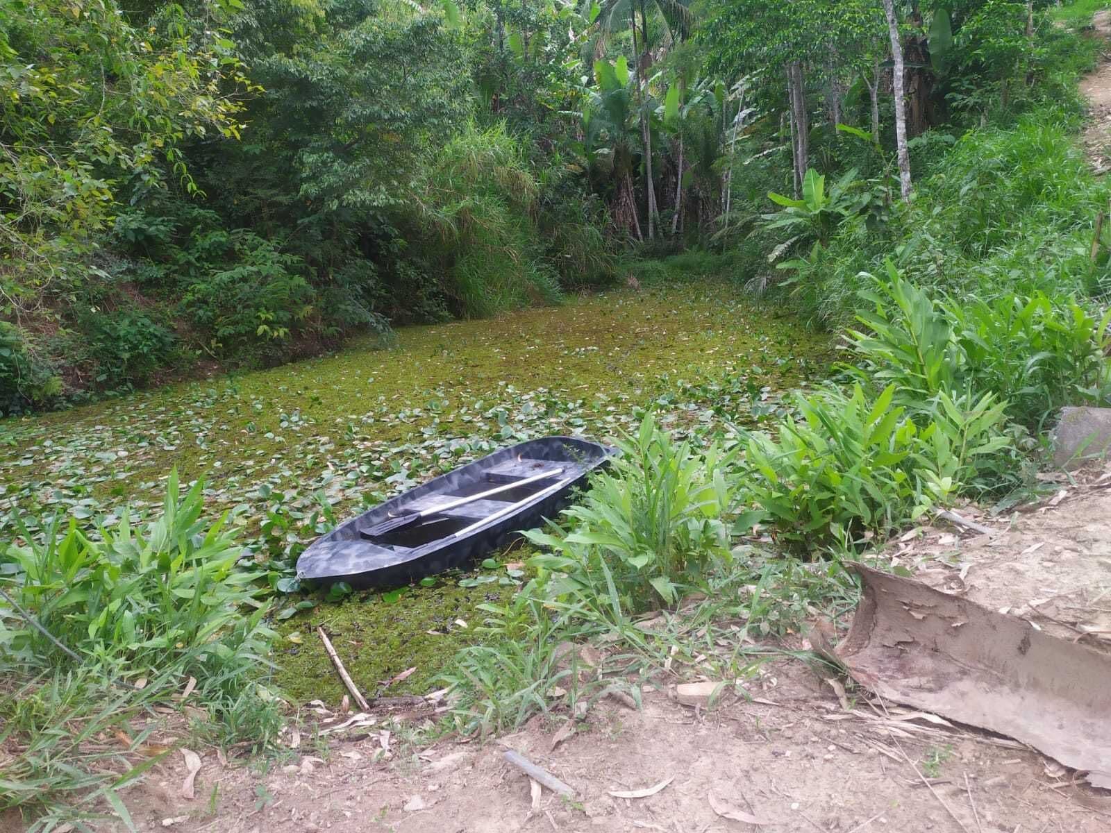 Sítio de 9,2 hectares em Monte Verde por R$350.000,00
