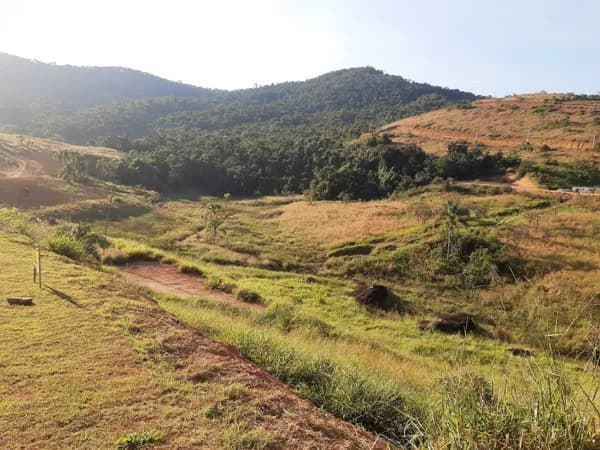 Condomínio Reserva Ecoville: Seu Refúgio Exclusivo em Meio à Natureza