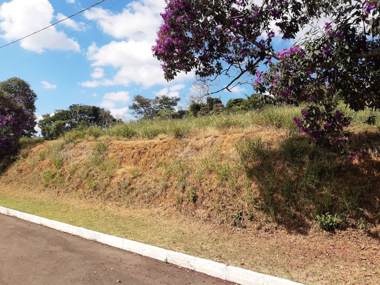 Terreno em Condomínio em Salvaterra, Juiz de Fora/MG