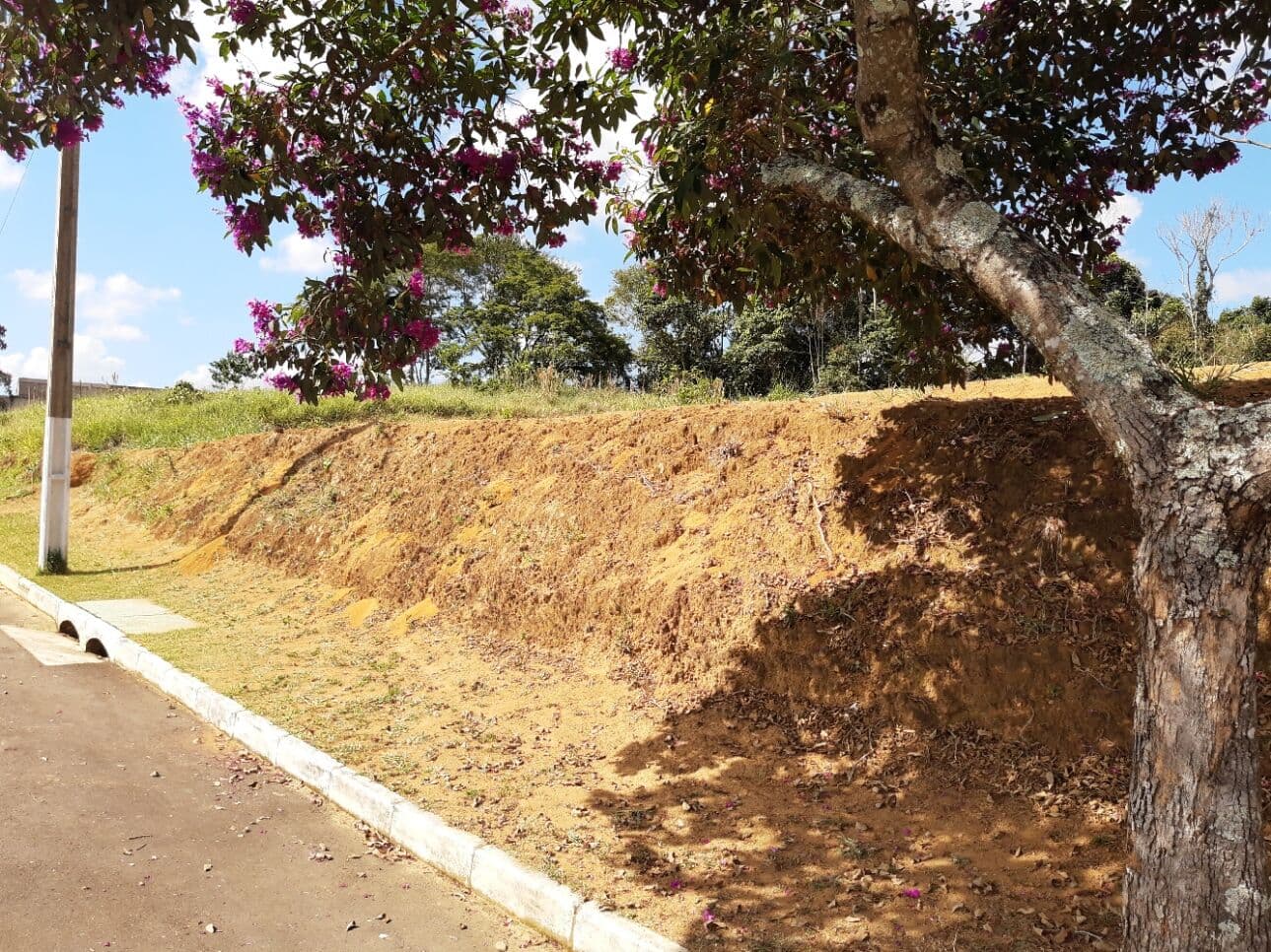 Terreno em Condomínio em Salvaterra, Juiz de Fora/MG