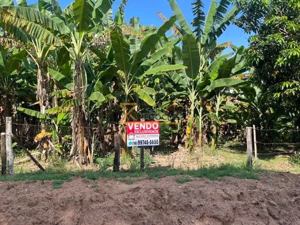 Fazenda/Sítios/Chácaras em São Carlos - Chácara Leila