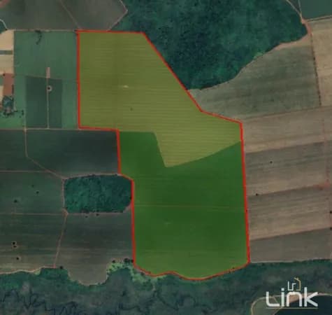 🌾 FAZENDA PRODUTIVA À VENDA – 82 ALQUEIRES EM COLÔMBIA/SP! 🚜💰