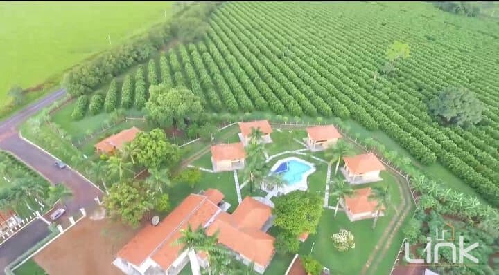 Fazenda de Citrus à Venda