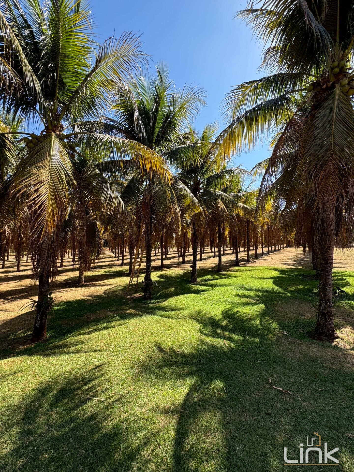 🏡 Chácara dos Sonhos: O Paraíso Pessoal ou Comercial que Você Procura! 🌳