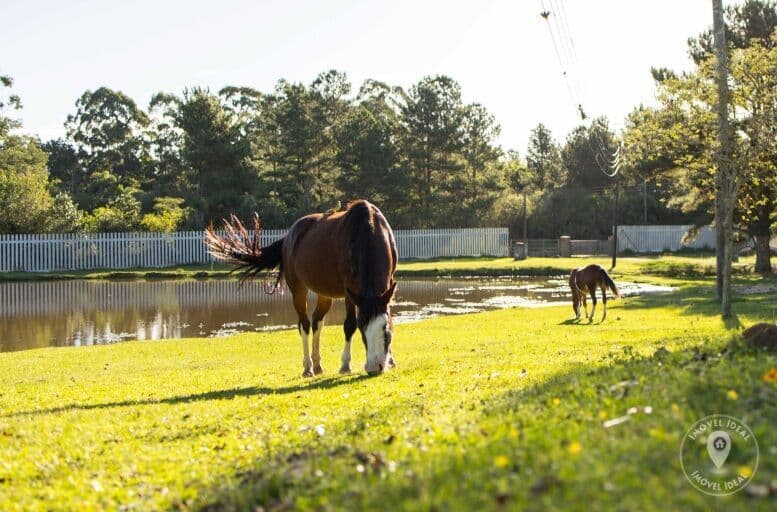Terreno em Condomínio Campestre - Lançamento Exclusivo em Viamão