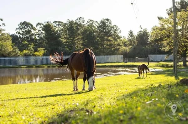 Terreno em Condomínio Campestre - Lançamento Exclusivo em Viamão