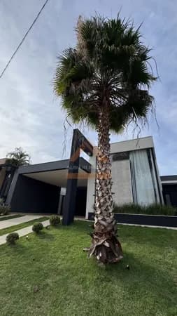 Casa Alto Padrão à venda no Condomínio Buona Vita - Araraquara SP