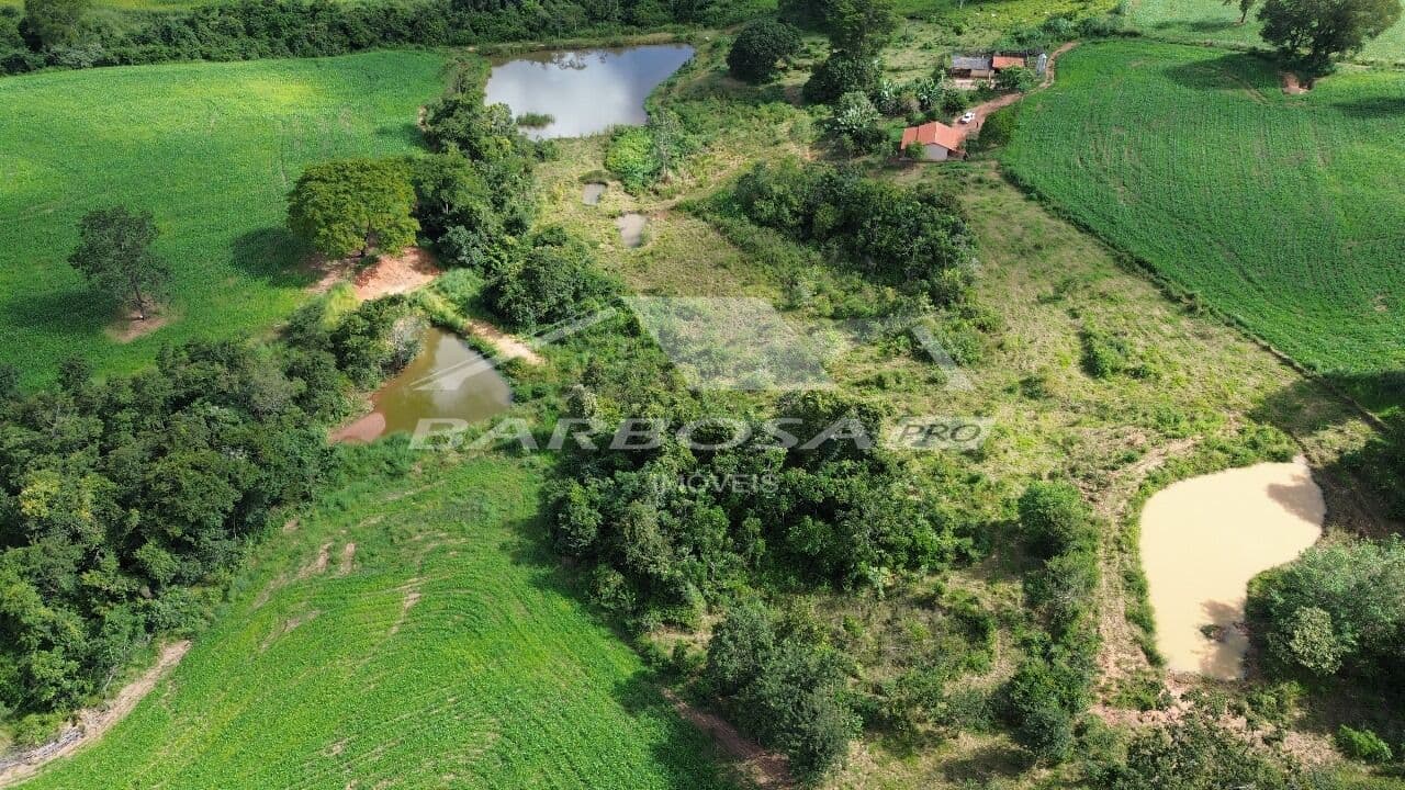 Sítio de 8,69 Alqueires à Venda Sentido Piracanjuba - GO