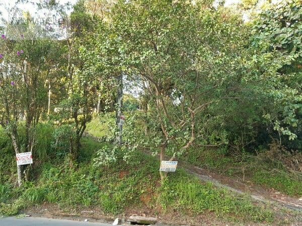 Área Residencial/Comercial