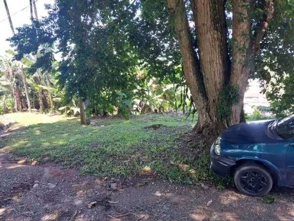 Terreno com 713,40 m2 bairro Floresta