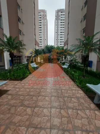 Apartamento em São Paulo - Vila Cunha Bueno