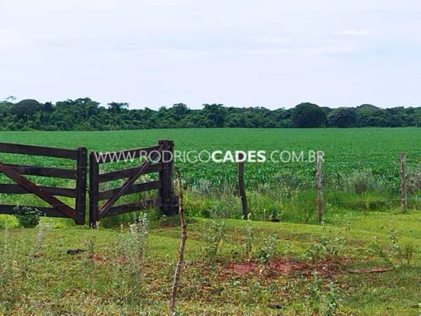 FAZENDA●466 HECTARES●AGRONEGÓCIO _ MATO GROSSO DO SUL