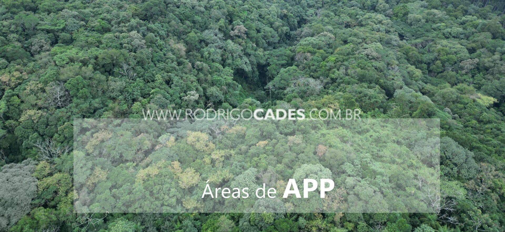 52 HECTARES _ APP _ NOVA VENEZA-SC
