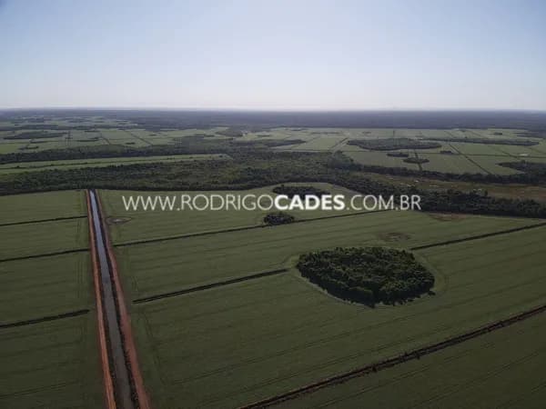 TOCANTINS●FAZENDA●28.415 HECTARES●AGRONEGÓCIO COMPLETO