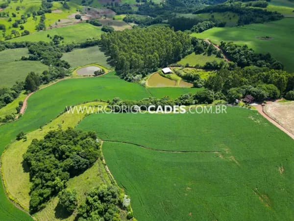 SC●38 HECTARES●EXTREMO-OESTE DE SC●PRODUTIVA●INFRAESTRURA COMPLETA
