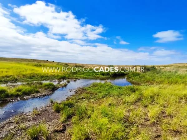 RS●FAZENDA●1.150 HECTARES●PASTAGENS | PECUÁRIA | POTENCIAL