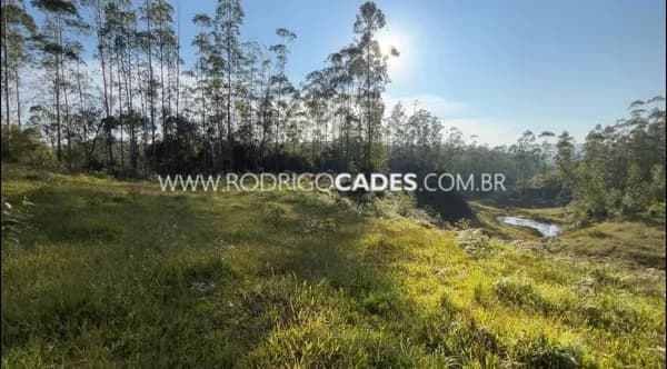 SC●3.1 HECTARES●PARA SEU SITIO DE LAZER, MORADIA OU PRODUÇÃO RURAL