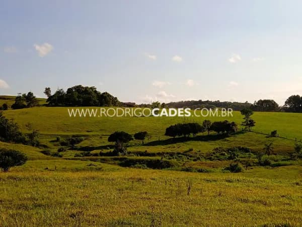 SC●SITIO● 18 HECTARES●PREMIUM
