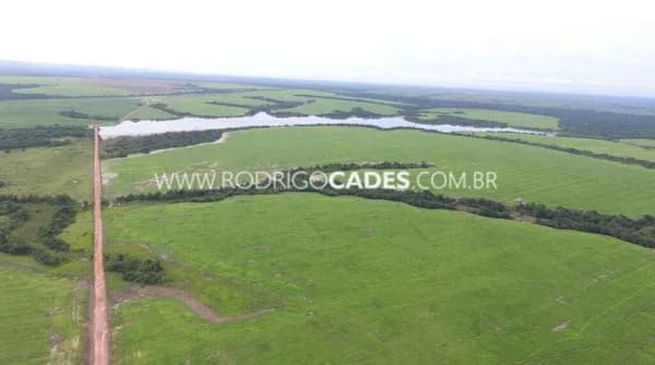 TOCANTINS●FAZENDA●17.125 HECTARES