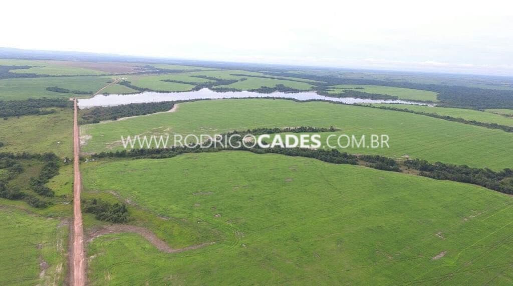 TOCANTINS●FAZENDA●17.125 HECTARES